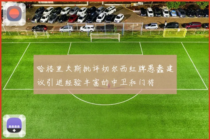 哈格里夫斯批评切尔西红牌愚蠢建议引进经验丰富的中卫和门将