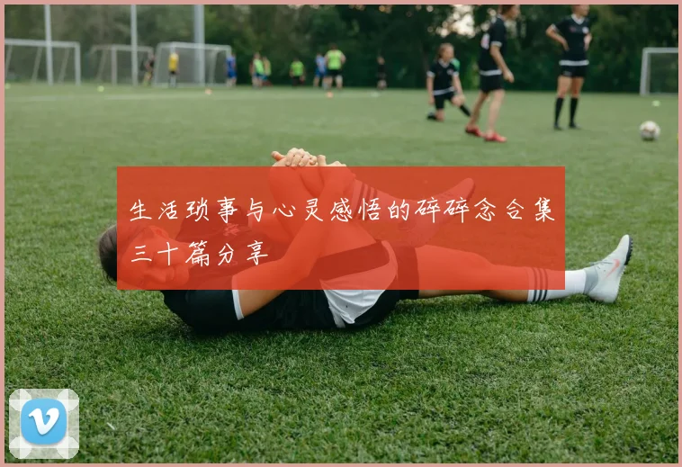 生活琐事与心灵感悟的碎碎念合集三十篇分享