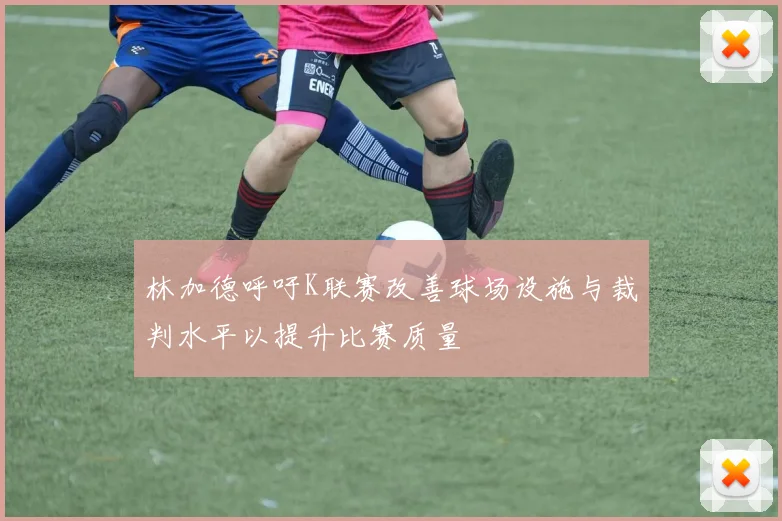 林加德呼吁K联赛改善球场设施与裁判水平以提升比赛质量